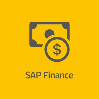 neumeier AG SAP Finance
